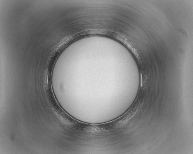 X0000115810253200912041613