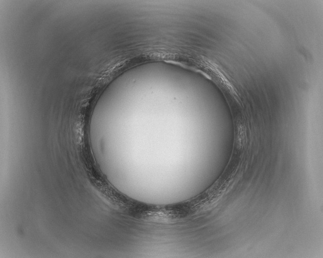 X0000115810259200912041613