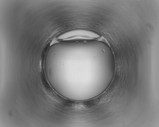 X0000115810262200912041613