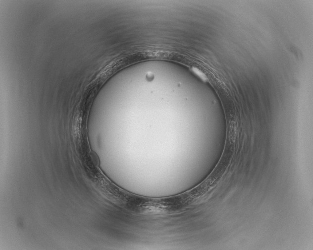 X0000115810263200912041613