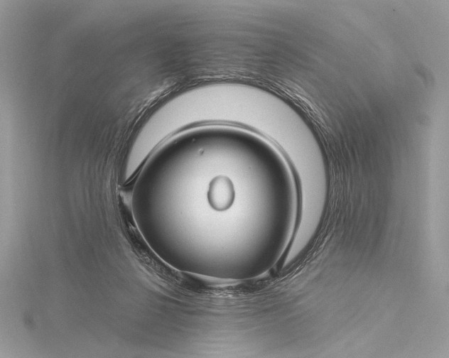 X0000115810264200912041613