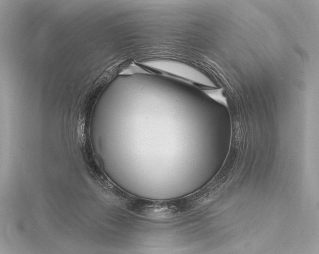 X0000115810267200912041613