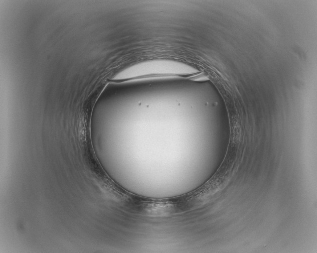X0000115810274200912041613