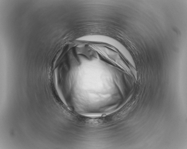 X0000115810277200912041613