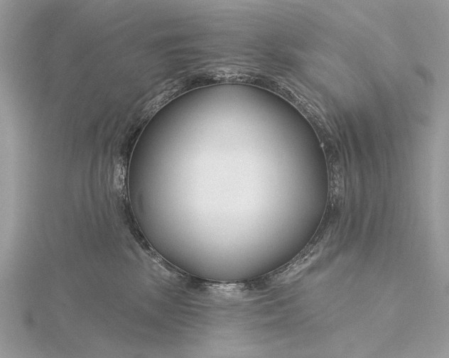 X0000115810281200912041613