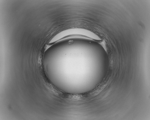 X0000115810282200912041613