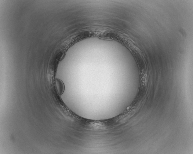 X0000115810283200912041613