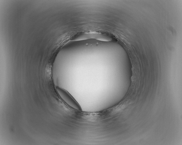 X0000115810288200912041613