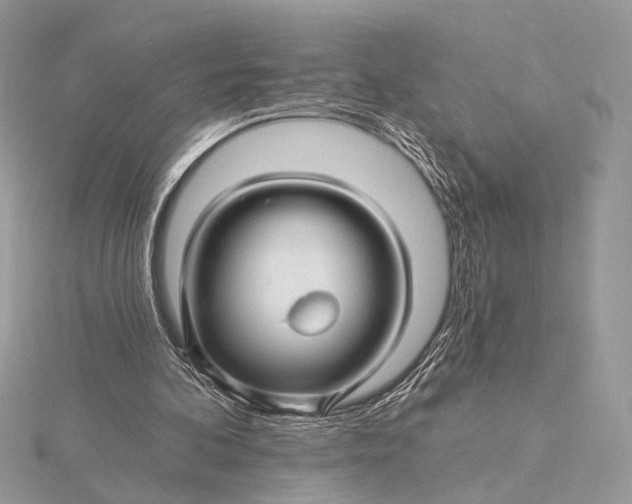 X0000115810292200912041612
