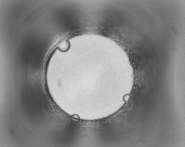 X0000115810293200912041612