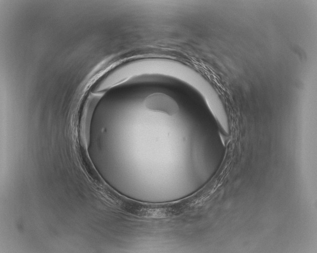 X0000115810295200912041612