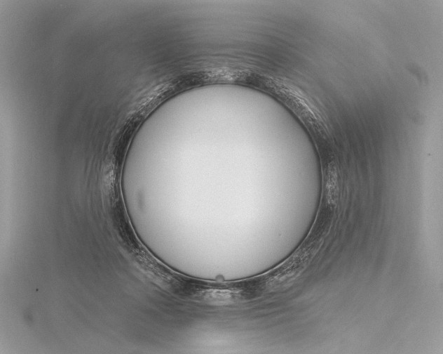 X0000115810314200912041612