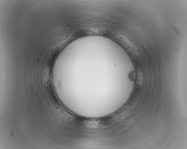 X0000115810318200912041612
