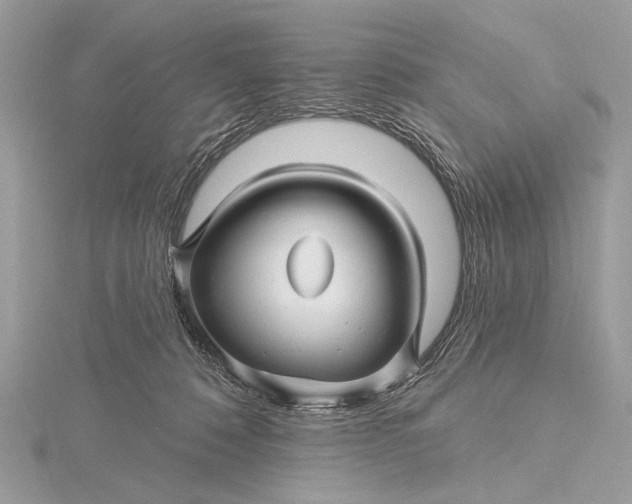 X0000115810320200912041612