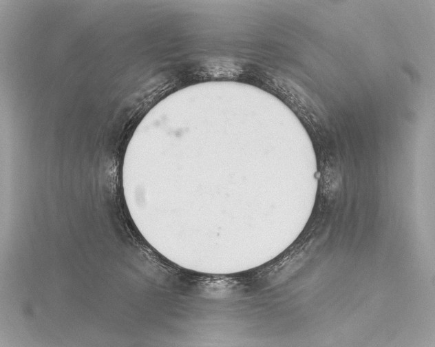X0000115810321200912041612