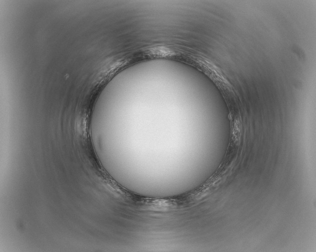 X0000115810330200912041612
