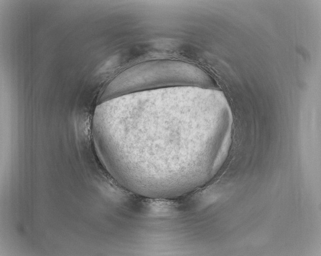 X0000115810336200912041612