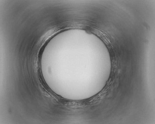 X0000115810338200912041611