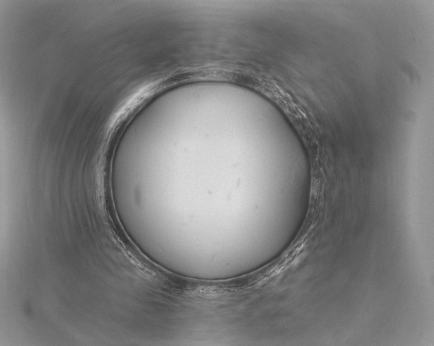 X0000115810341200912041611