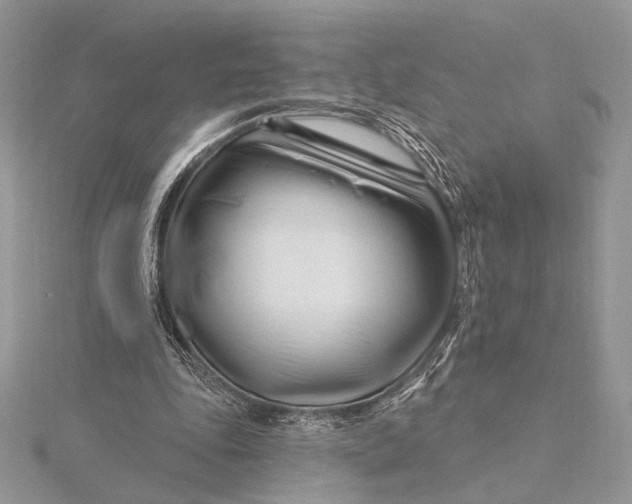 X0000115810343200912041611
