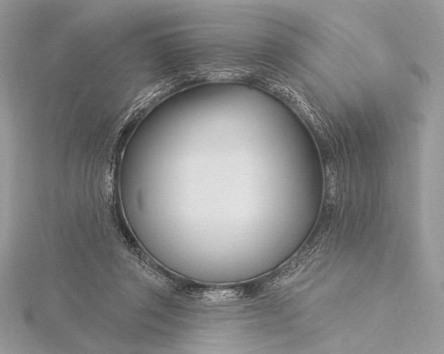 X0000115810357200912041611