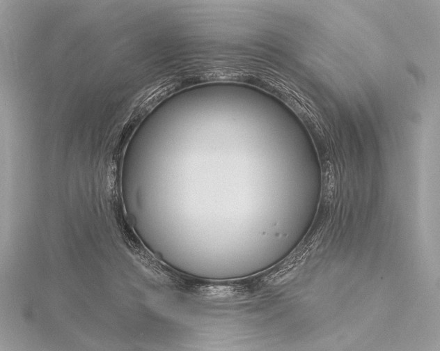 X0000115810361200912041612
