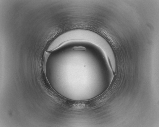X0000115810362200912041612