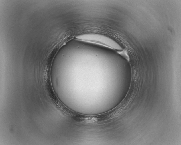 X0000115810363200912041612