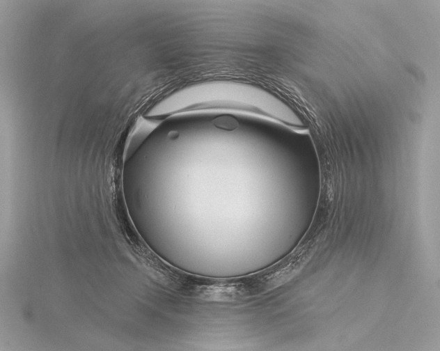 X0000115810366200912041612