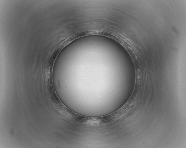 X0000115810369200912041612