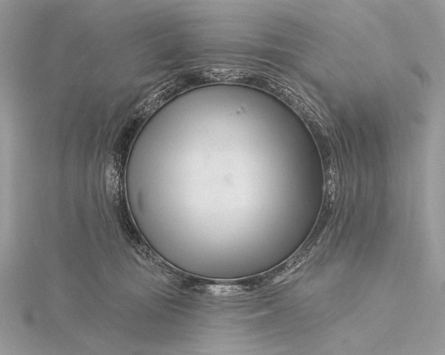 X0000115810371200912041612