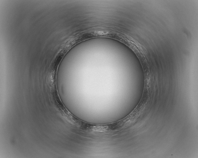 X0000115810373200912041612