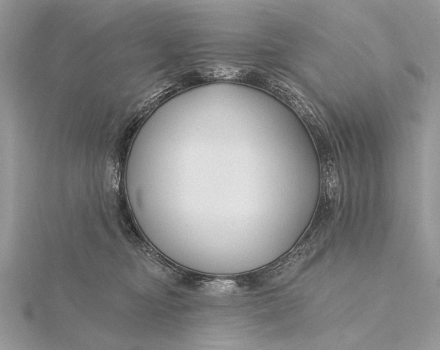 X0000115810374200912041612