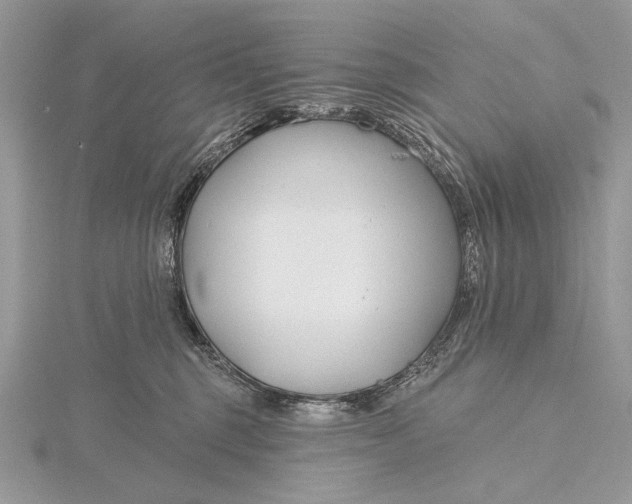 X0000115810375200912041612