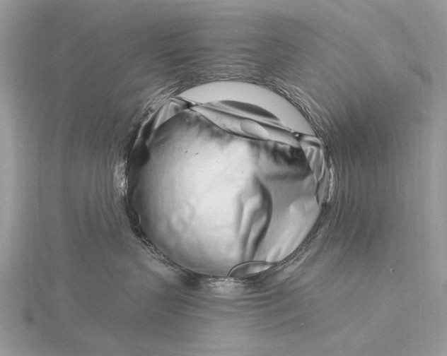 X0000115810383200912041612