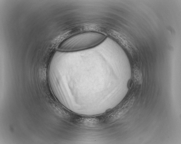 X0000115810401200912041611