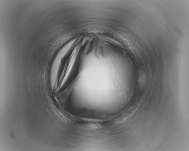 X0000115810402200912041611