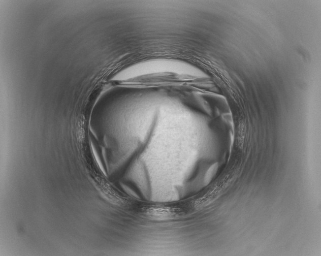 X0000115810413200912041611