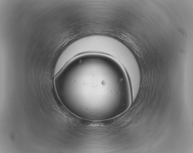X0000115810415200912041611