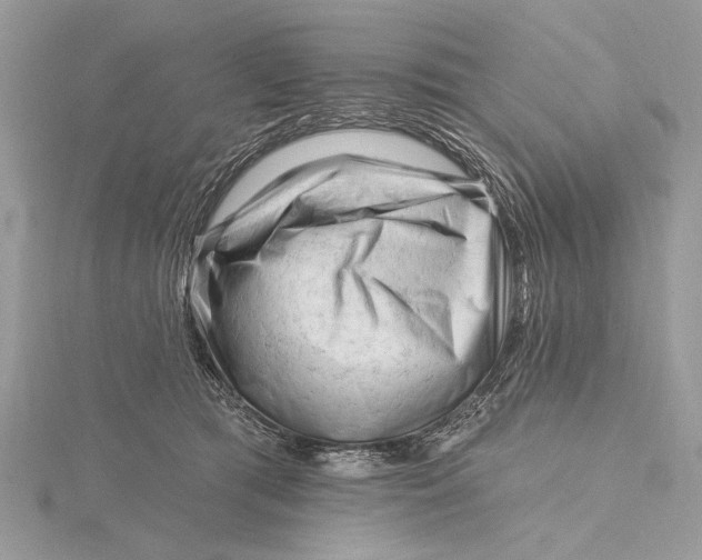 X0000115810417200912041611