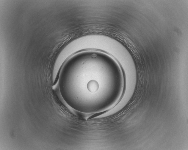 X0000115810419200912041611
