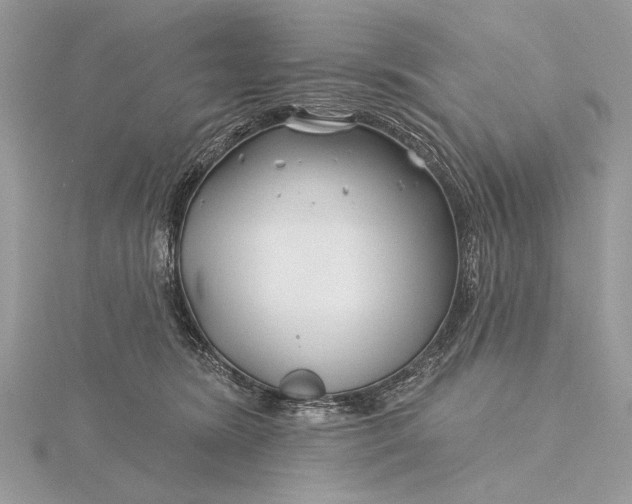 X0000115810420200912041611