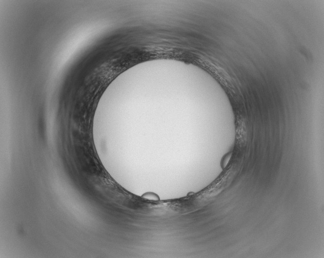 X0000115810430200912041611