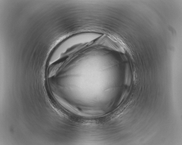 X0000115810438200912041610