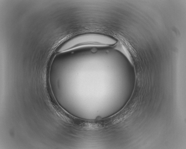 X0000115810442200912041610