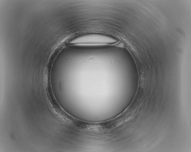 X0000115810446200912041610