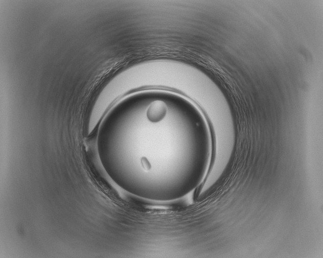 X0000115810452200912041610