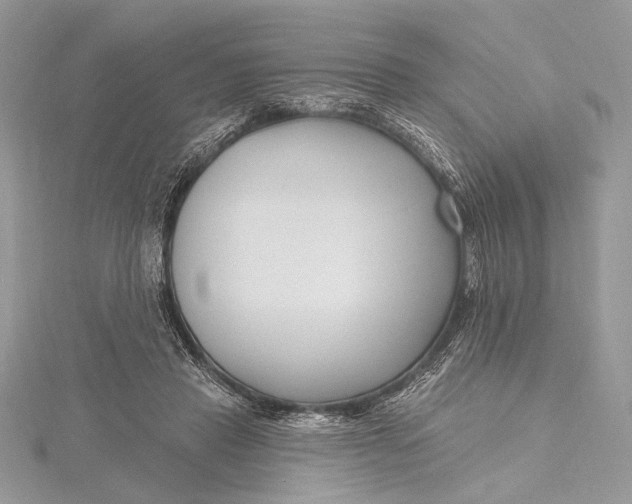 X0000115810453200912041610