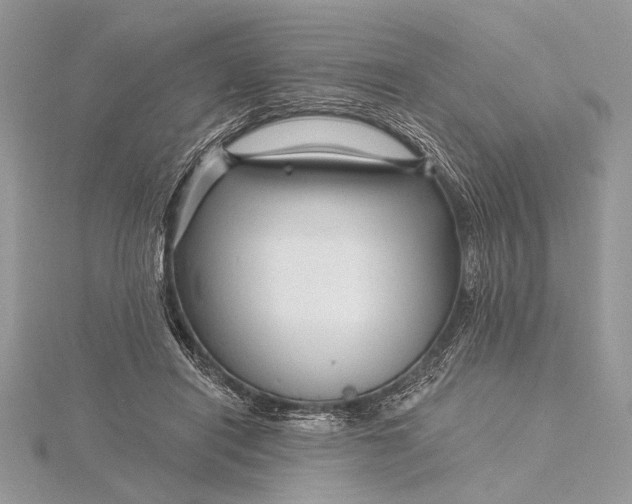 X0000115810454200912041610
