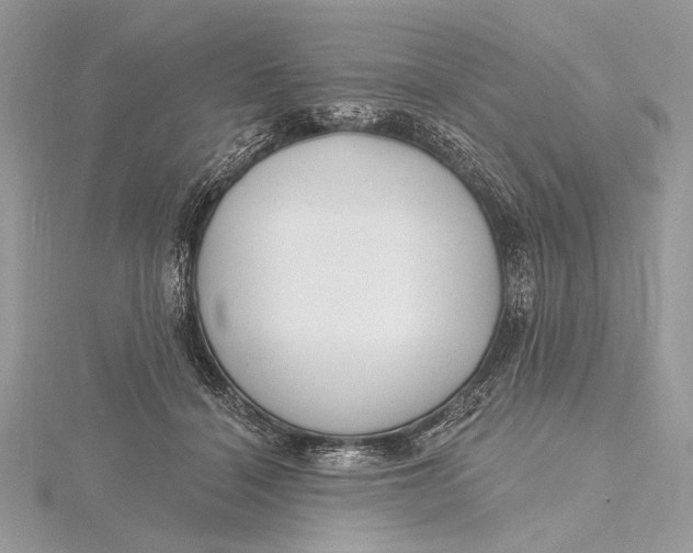 X0000115810460200912041610